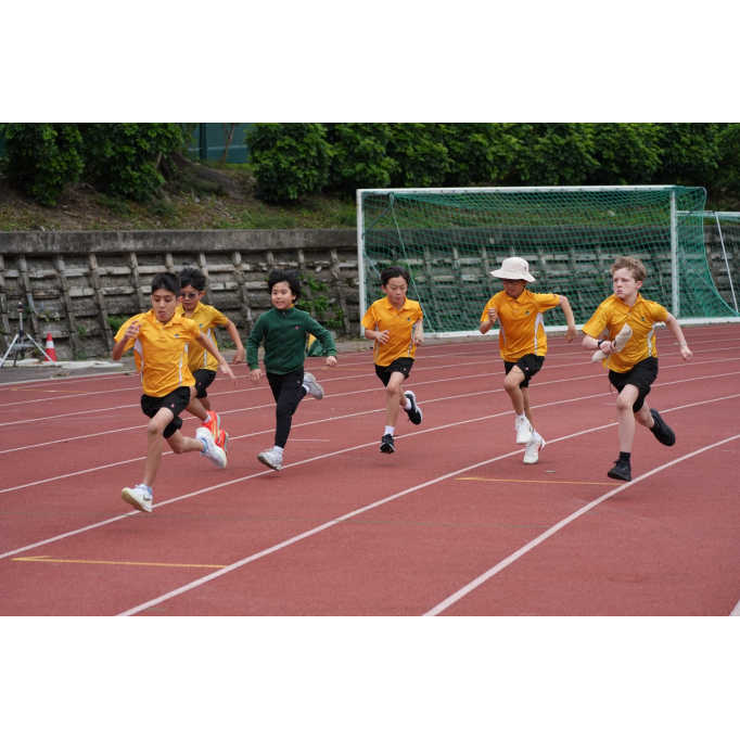 651919238_17994848030931900_6312973050523706884_n