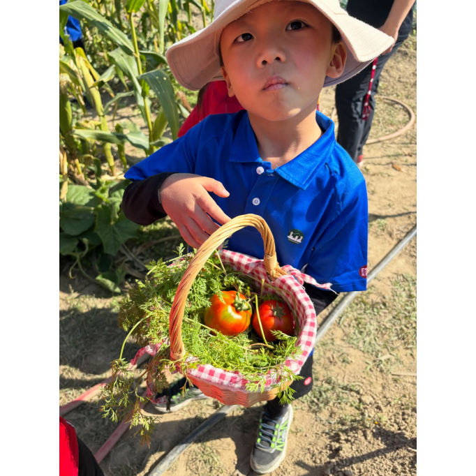 617824293_17988180935931900_2416826047150289259_n