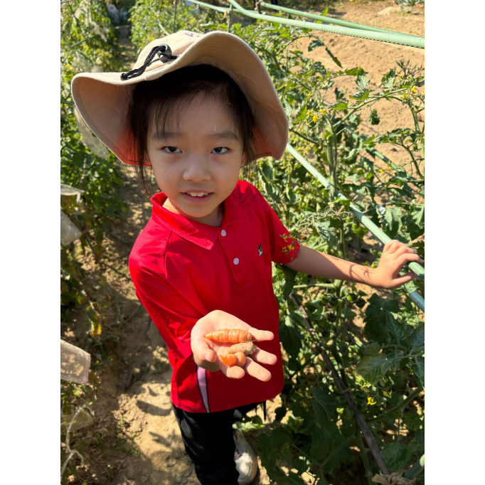 618670262_17988180953931900_4522107591569263996_n